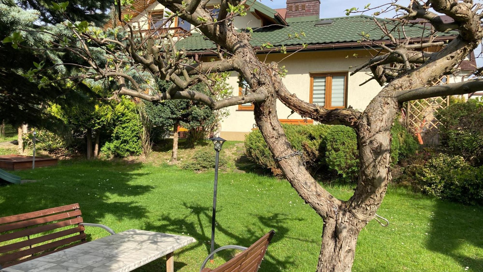 Apartamenty-Studio Noclegi Wczasy Wakacje Ferie - Pobyty Rodzinne Rabka Exterior foto